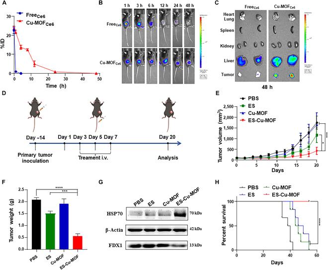 https://cdn.ncbi.nlm.nih.gov/pmc/blobs/a763/11208873/ca0c84a4e31e/bmr.0039.fig.005.jpg