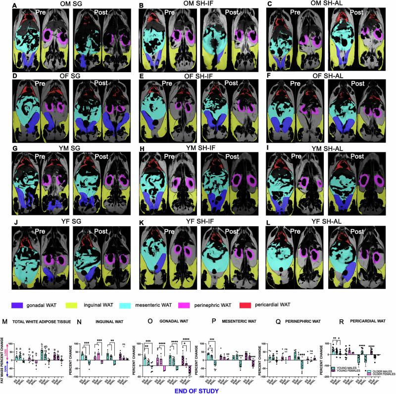 https://cdn.ncbi.nlm.nih.gov/pmc/blobs/a765/12316924/0777ad267a23/44324_2025_65_Fig3_HTML.jpg