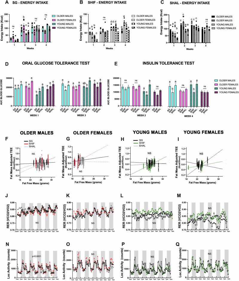 https://cdn.ncbi.nlm.nih.gov/pmc/blobs/a765/12316924/d6c88766cf09/44324_2025_65_Fig2_HTML.jpg