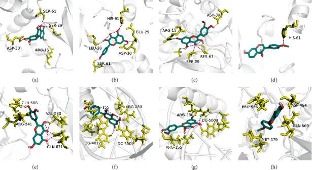 https://cdn.ncbi.nlm.nih.gov/pmc/blobs/a766/8328704/2ba57fe72f9b/ECAM2021-9980981.007.jpg
