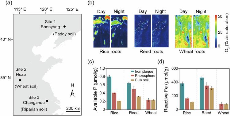 https://cdn.ncbi.nlm.nih.gov/pmc/blobs/a767/12075798/748184994924/41467_2025_59637_Fig5_HTML.jpg