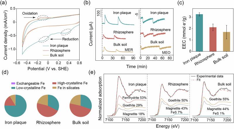 https://cdn.ncbi.nlm.nih.gov/pmc/blobs/a767/12075798/801d1a4e50fb/41467_2025_59637_Fig2_HTML.jpg