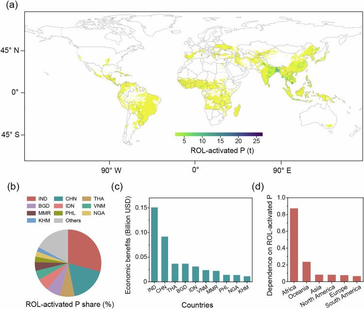 https://cdn.ncbi.nlm.nih.gov/pmc/blobs/a767/12075798/9cb1b2e3c956/41467_2025_59637_Fig6_HTML.jpg