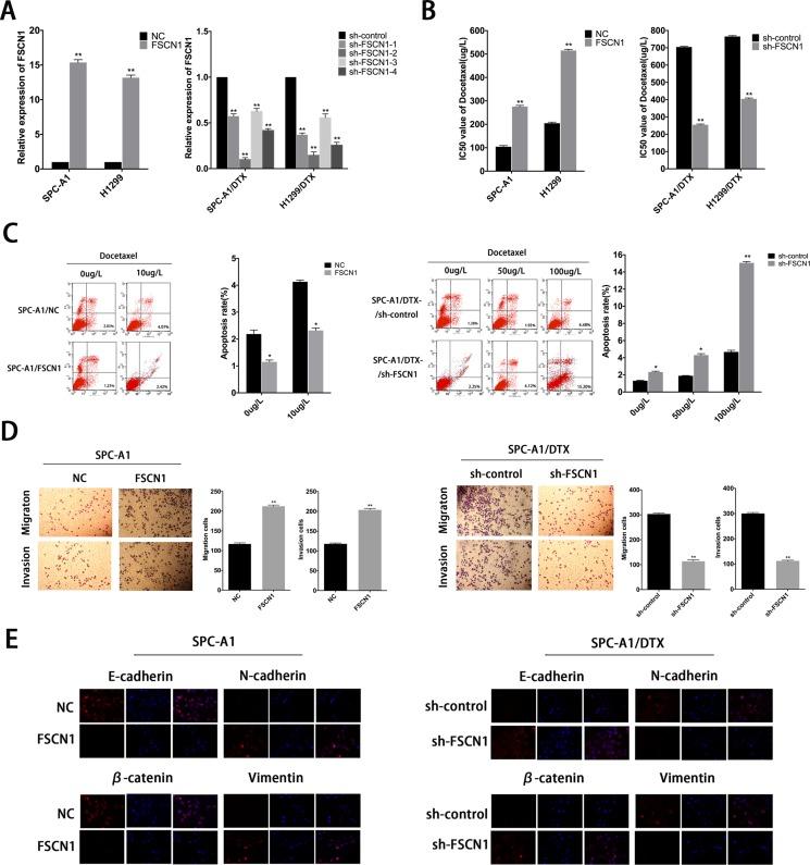 https://cdn.ncbi.nlm.nih.gov/pmc/blobs/a767/5464857/86d991fc7081/oncotarget-08-33144-g008.jpg