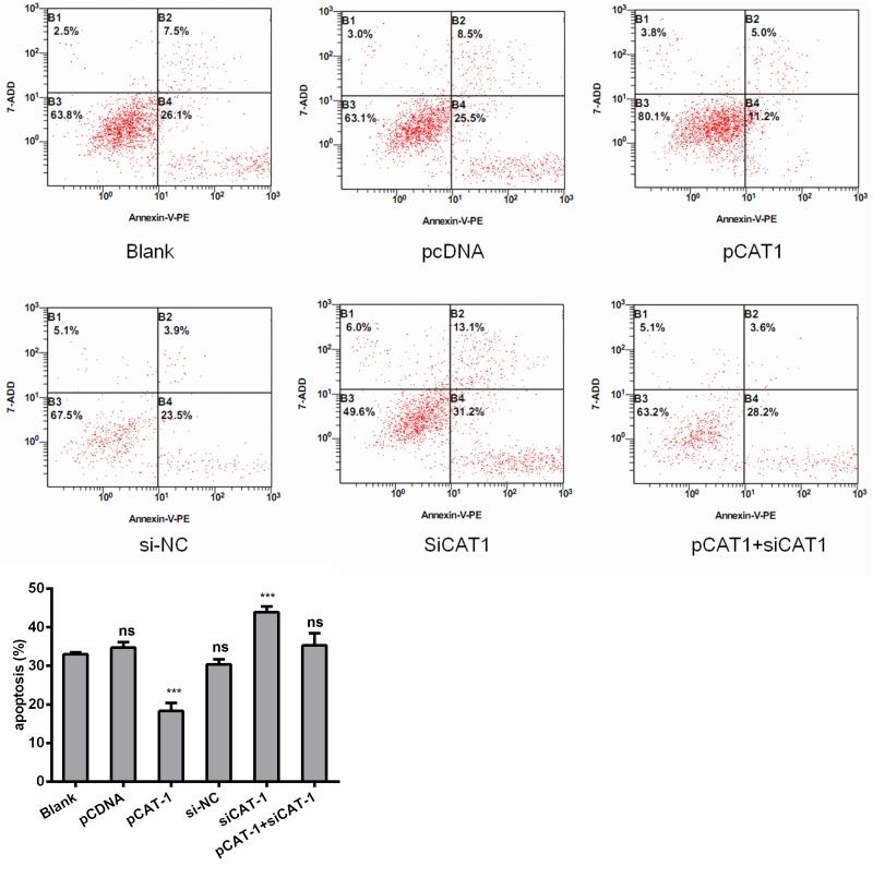 https://cdn.ncbi.nlm.nih.gov/pmc/blobs/a768/5617398/6773c5ee06b3/oncotarget-08-60962-g003.jpg