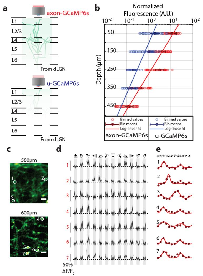 https://cdn.ncbi.nlm.nih.gov/pmc/blobs/a76a/6697169/482ba1902e36/nihms-981070-f0004.jpg