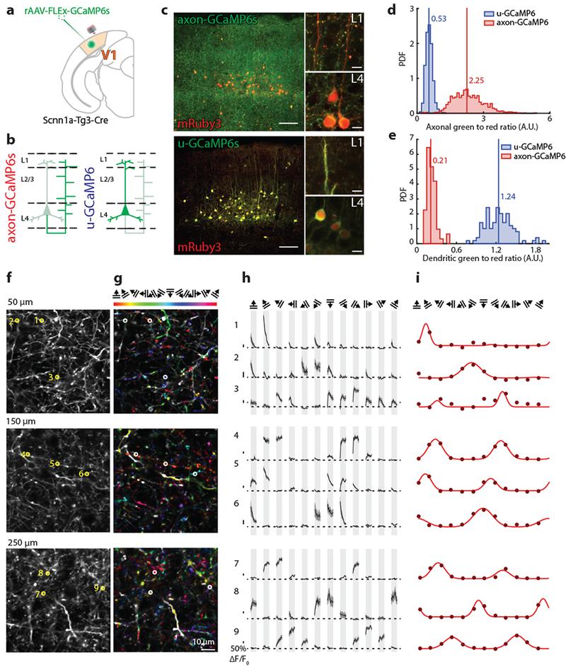 https://cdn.ncbi.nlm.nih.gov/pmc/blobs/a76a/6697169/a0d5722d8a45/nihms-981070-f0005.jpg