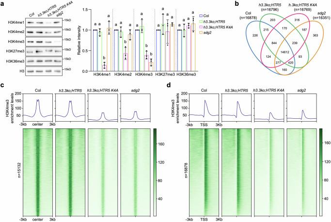https://cdn.ncbi.nlm.nih.gov/pmc/blobs/a76b/12069700/0fef4726088a/41467_2025_59711_Fig2_HTML.jpg