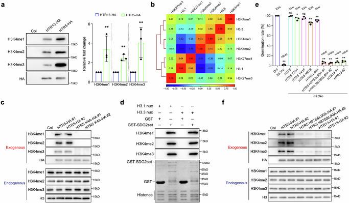 https://cdn.ncbi.nlm.nih.gov/pmc/blobs/a76b/12069700/8d114b137b2d/41467_2025_59711_Fig5_HTML.jpg
