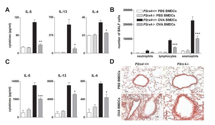 https://cdn.ncbi.nlm.nih.gov/pmc/blobs/a76d/5348320/7d79f39e2332/oncotarget-07-80288-g006.jpg