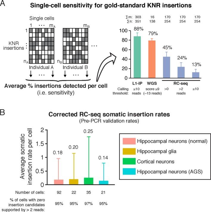 https://cdn.ncbi.nlm.nih.gov/pmc/blobs/a771/4805530/4f6709ae4af2/elife-12966-fig3.jpg