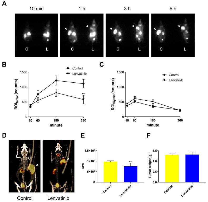 https://cdn.ncbi.nlm.nih.gov/pmc/blobs/a771/9456011/1841e02d0166/ijms-23-09872-g002.jpg