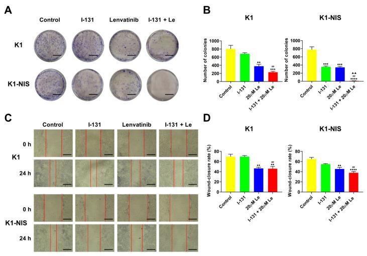 https://cdn.ncbi.nlm.nih.gov/pmc/blobs/a771/9456011/79b508015991/ijms-23-09872-g003.jpg