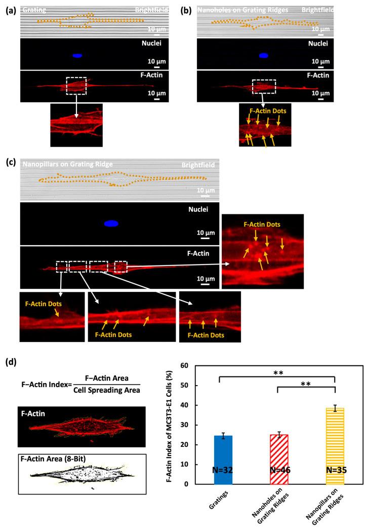 https://cdn.ncbi.nlm.nih.gov/pmc/blobs/a772/11352363/71ba123218c4/biosensors-14-00389-g004.jpg