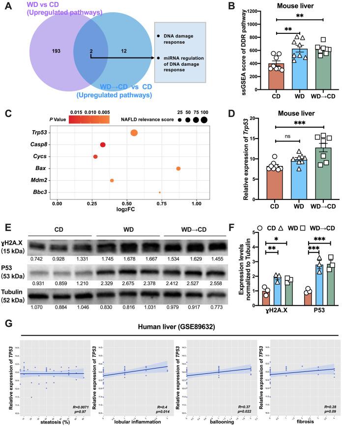 https://cdn.ncbi.nlm.nih.gov/pmc/blobs/a774/11393837/f0044df7753b/JCTH-12-765-g004.jpg