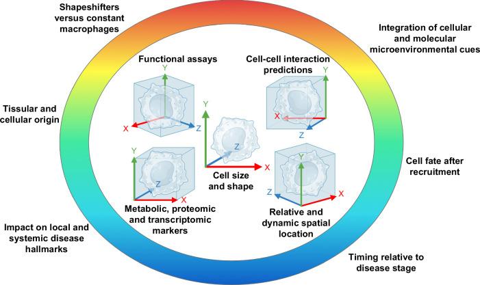 https://cdn.ncbi.nlm.nih.gov/pmc/blobs/a777/11227356/00c4aee3d315/hc9-8-e0491-g002.jpg