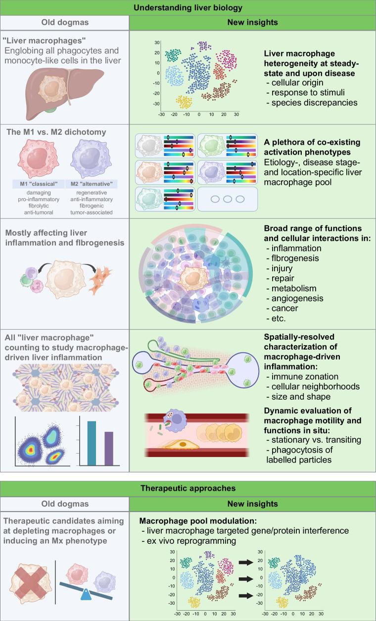 https://cdn.ncbi.nlm.nih.gov/pmc/blobs/a777/11227356/50b68fb5f157/hc9-8-e0491-g001.jpg