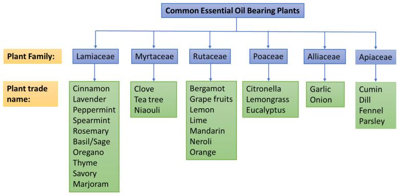 https://cdn.ncbi.nlm.nih.gov/pmc/blobs/a777/11820458/14ced445acd4/molecules-30-00683-g002.jpg