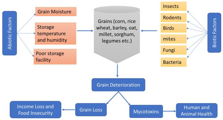https://cdn.ncbi.nlm.nih.gov/pmc/blobs/a777/11820458/88eae8065690/molecules-30-00683-g001.jpg