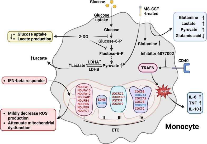https://cdn.ncbi.nlm.nih.gov/pmc/blobs/a778/10799425/47a1fa78e6dc/12974_2024_3016_Fig3_HTML.jpg