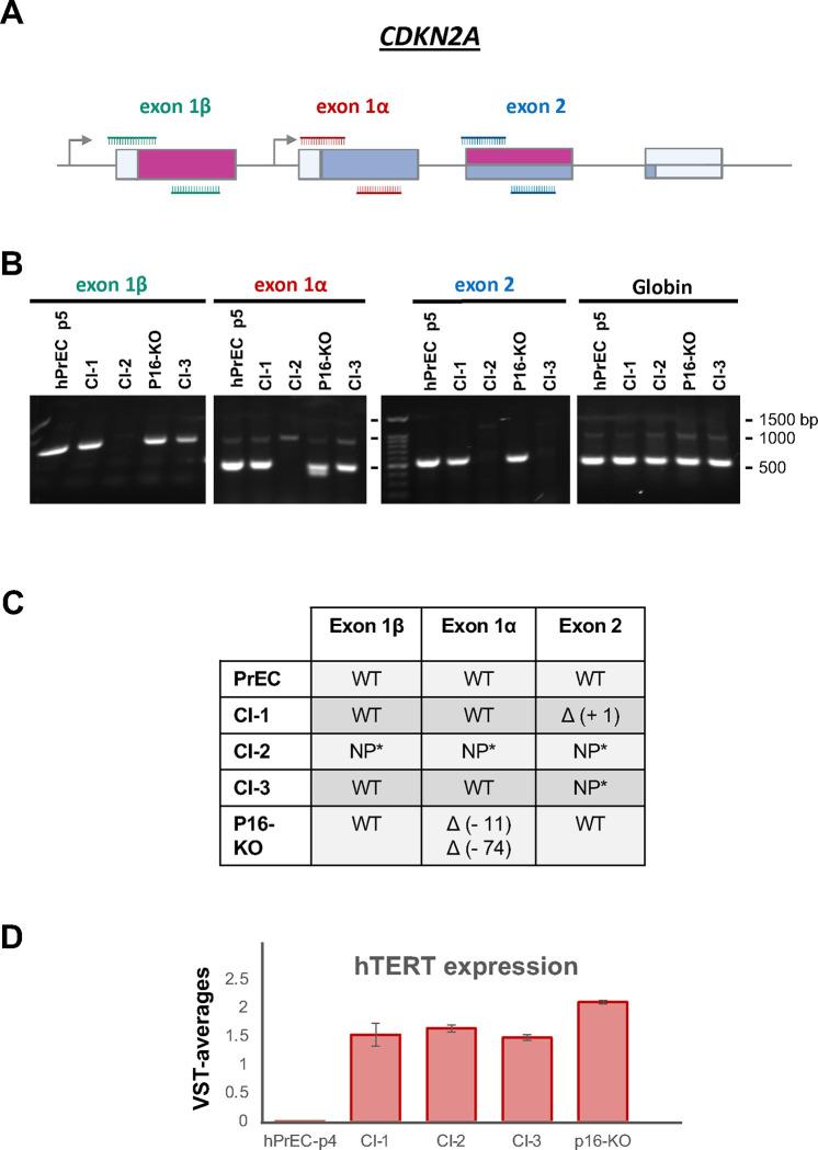https://cdn.ncbi.nlm.nih.gov/pmc/blobs/a778/11100872/b288ddae3df2/nihpp-rs4294058v1-f0002.jpg