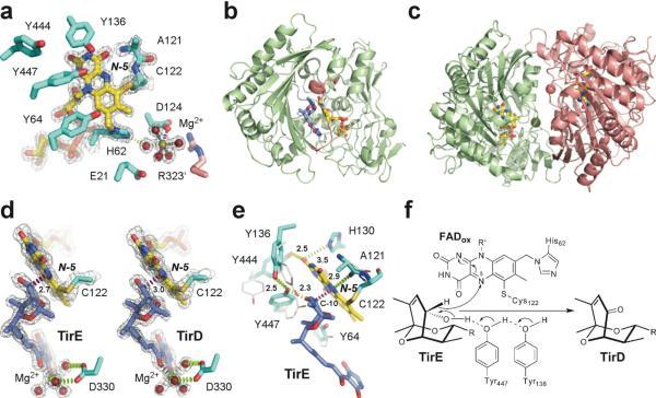 https://cdn.ncbi.nlm.nih.gov/pmc/blobs/a778/3154026/da0881e90f5e/nihms-301494-f0004.jpg