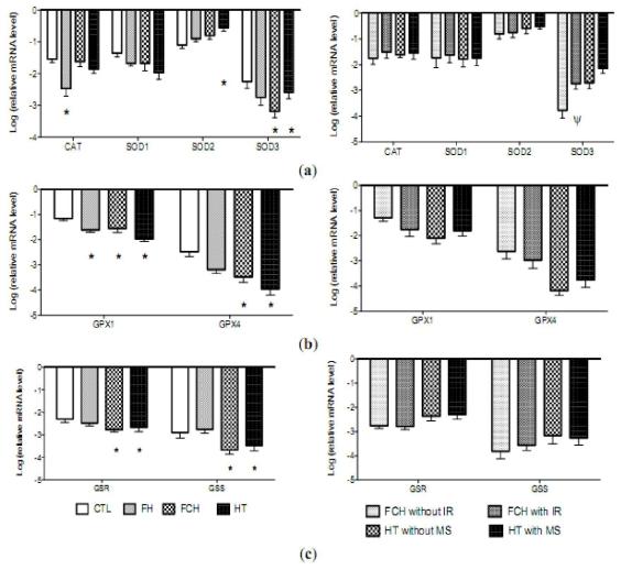 https://cdn.ncbi.nlm.nih.gov/pmc/blobs/a778/3189774/64ba9a703e1e/ijms-12-06146f2.jpg