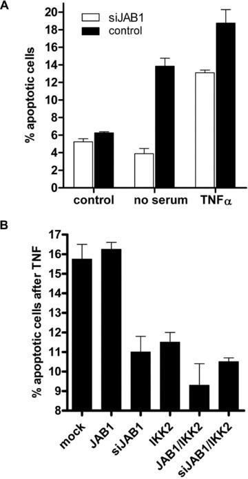 https://cdn.ncbi.nlm.nih.gov/pmc/blobs/a779/3829021/c5fd462f6a28/jcmm0014-1555-f5.jpg