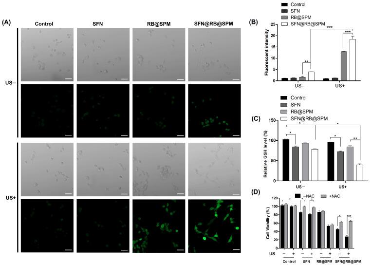 https://cdn.ncbi.nlm.nih.gov/pmc/blobs/a77a/11769538/00bb980eb766/pharmaceutics-17-00034-g004.jpg