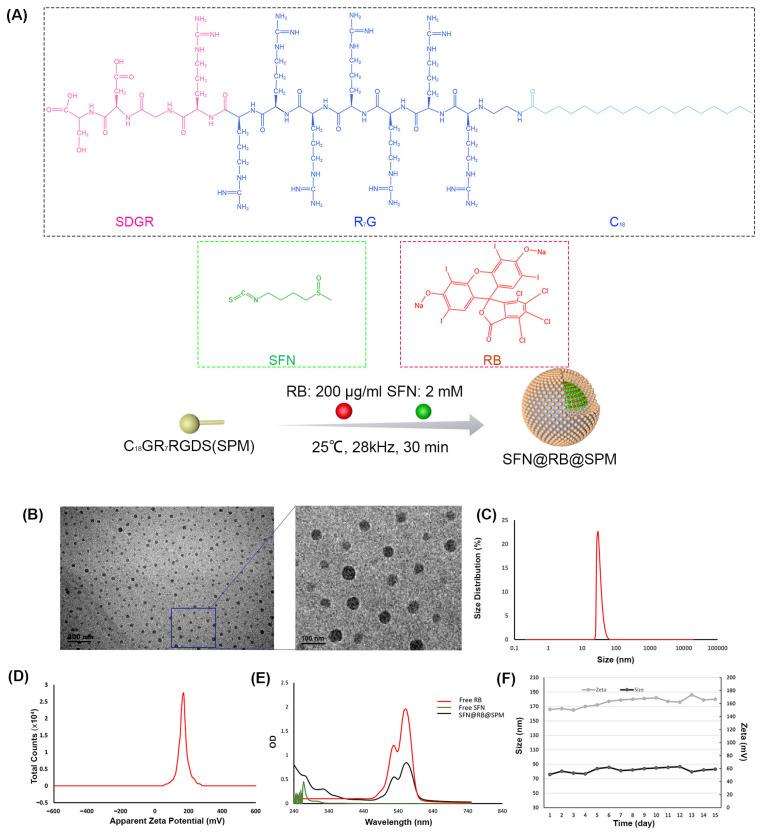 https://cdn.ncbi.nlm.nih.gov/pmc/blobs/a77a/11769538/116e5b03b08c/pharmaceutics-17-00034-g001.jpg