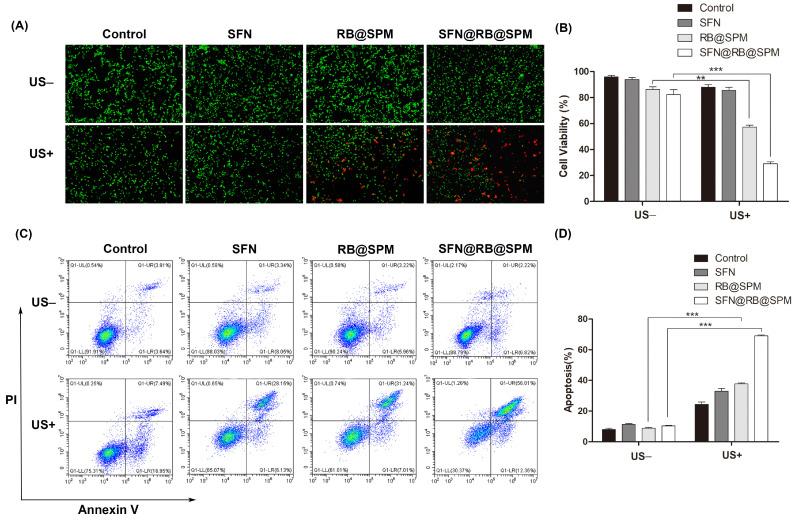 https://cdn.ncbi.nlm.nih.gov/pmc/blobs/a77a/11769538/8e95a3948e9c/pharmaceutics-17-00034-g003.jpg