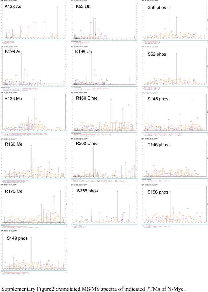 https://cdn.ncbi.nlm.nih.gov/pmc/blobs/a77a/9984901/18415cb062c1/figs2.jpg