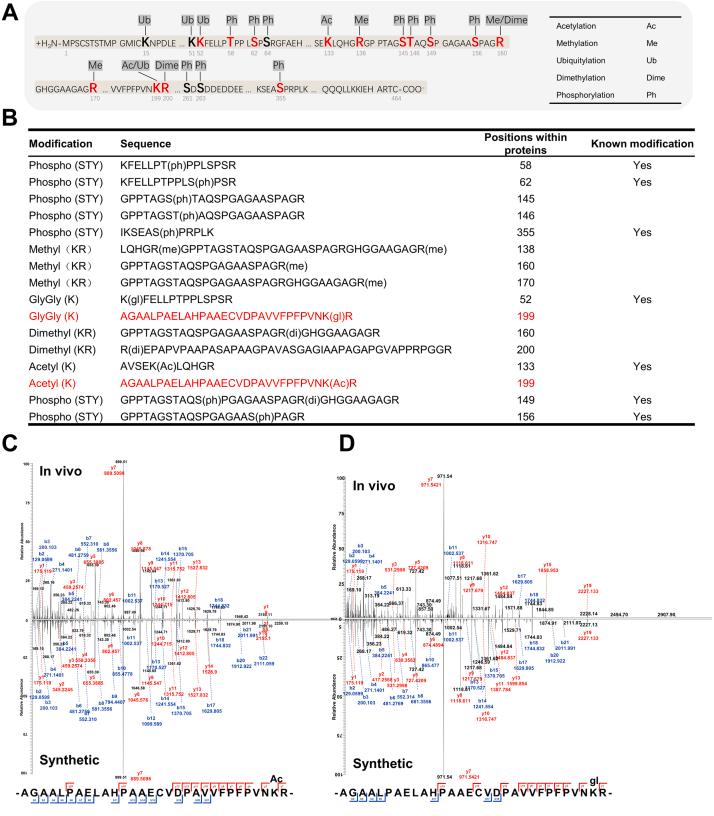 https://cdn.ncbi.nlm.nih.gov/pmc/blobs/a77a/9984901/b1deaa2e3d0c/gr2.jpg