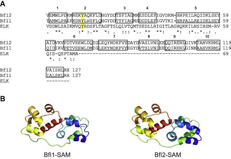 https://cdn.ncbi.nlm.nih.gov/pmc/blobs/a77d/5054709/9cf228c44209/gr4.jpg
