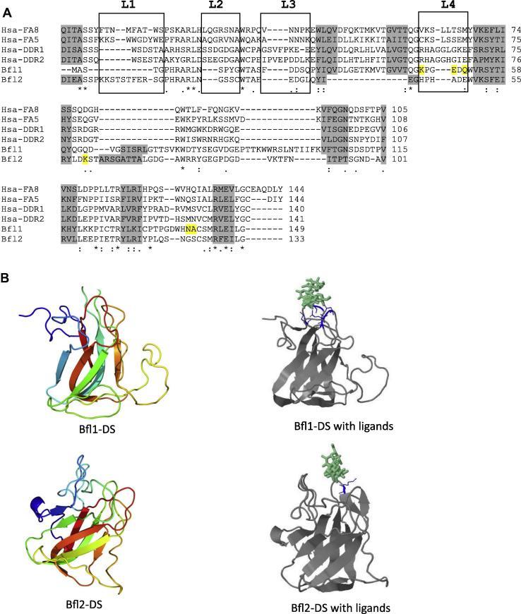 https://cdn.ncbi.nlm.nih.gov/pmc/blobs/a77d/5054709/c0a01f0c7f7f/gr3.jpg