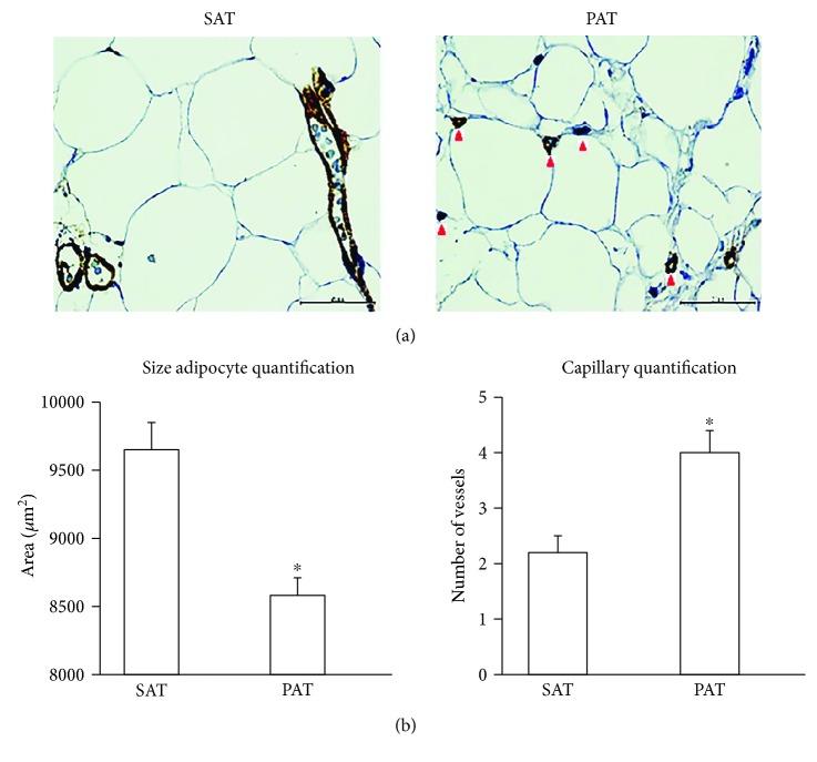 https://cdn.ncbi.nlm.nih.gov/pmc/blobs/a780/5676446/83148ac63830/IJE2017-2945012.001.jpg