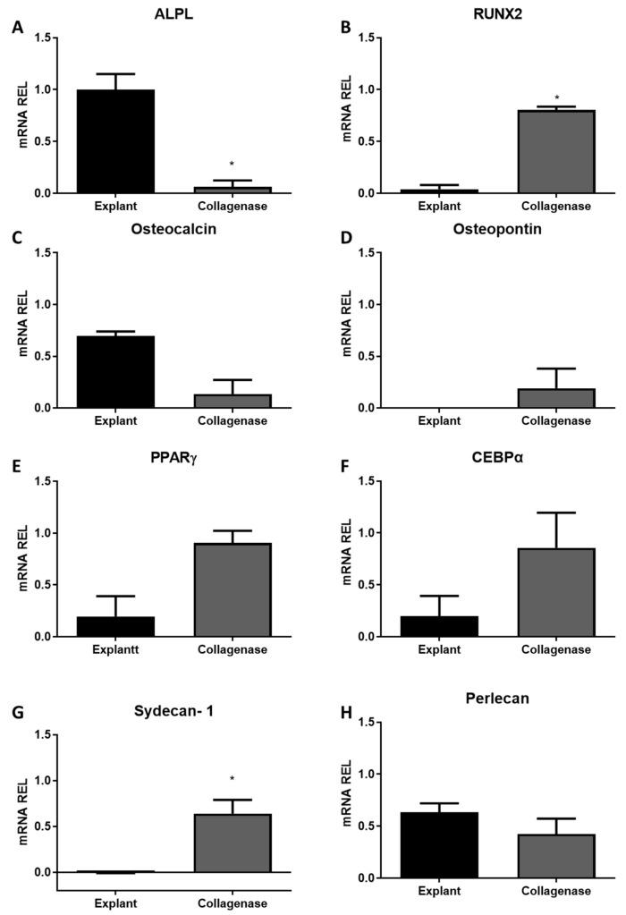 https://cdn.ncbi.nlm.nih.gov/pmc/blobs/a782/12155265/18146810af7e/cells-14-00830-g005.jpg