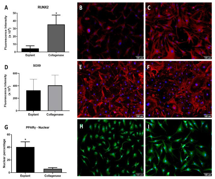 https://cdn.ncbi.nlm.nih.gov/pmc/blobs/a782/12155265/59e1ecd33943/cells-14-00830-g004.jpg