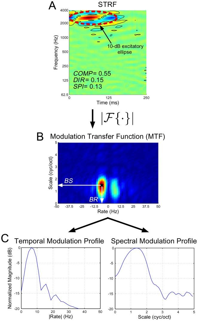 https://cdn.ncbi.nlm.nih.gov/pmc/blobs/a782/3610626/c16817b6d4d9/pcbi.1002982.g011.jpg