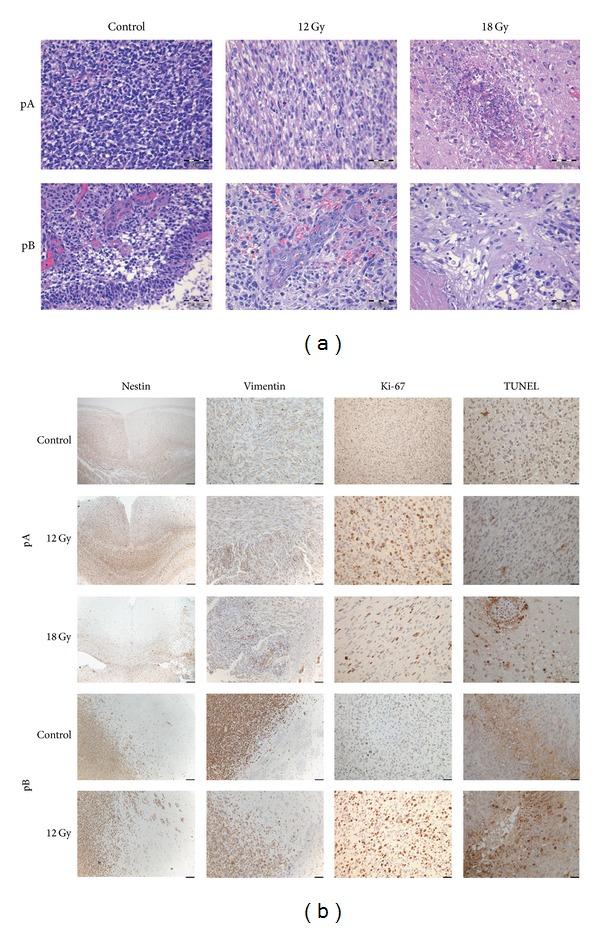 https://cdn.ncbi.nlm.nih.gov/pmc/blobs/a782/3842058/708955b07bd3/BMRI2013-139674.004.jpg