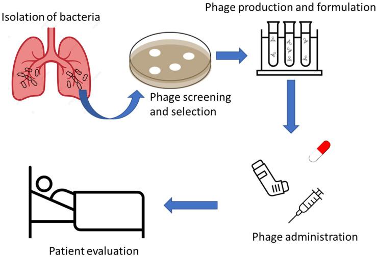 https://cdn.ncbi.nlm.nih.gov/pmc/blobs/a784/11313351/de644079bf24/ijms-25-08321-g001.jpg
