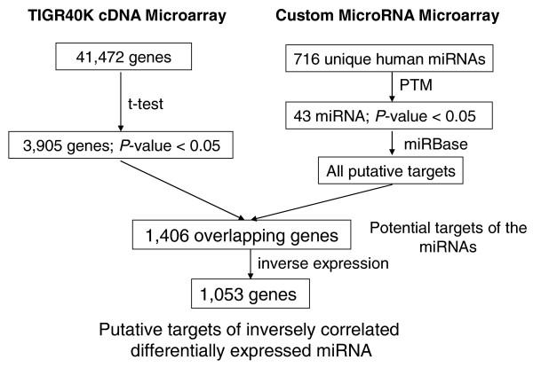 https://cdn.ncbi.nlm.nih.gov/pmc/blobs/a784/2873801/239ac92b6a60/gm144-1.jpg