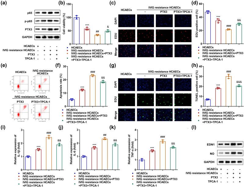 https://cdn.ncbi.nlm.nih.gov/pmc/blobs/a78c/10628575/953994d47135/j_biol-2022-0735-fig005.jpg