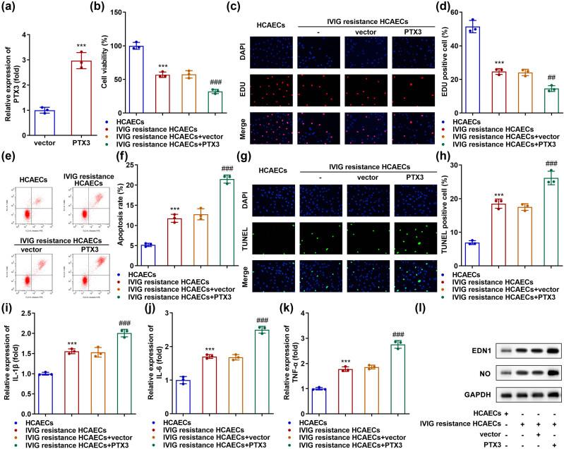 https://cdn.ncbi.nlm.nih.gov/pmc/blobs/a78c/10628575/c0d2185faaa7/j_biol-2022-0735-fig003.jpg