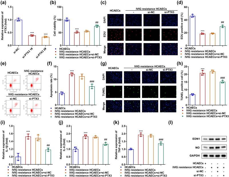 https://cdn.ncbi.nlm.nih.gov/pmc/blobs/a78c/10628575/e2b281916f01/j_biol-2022-0735-fig002.jpg