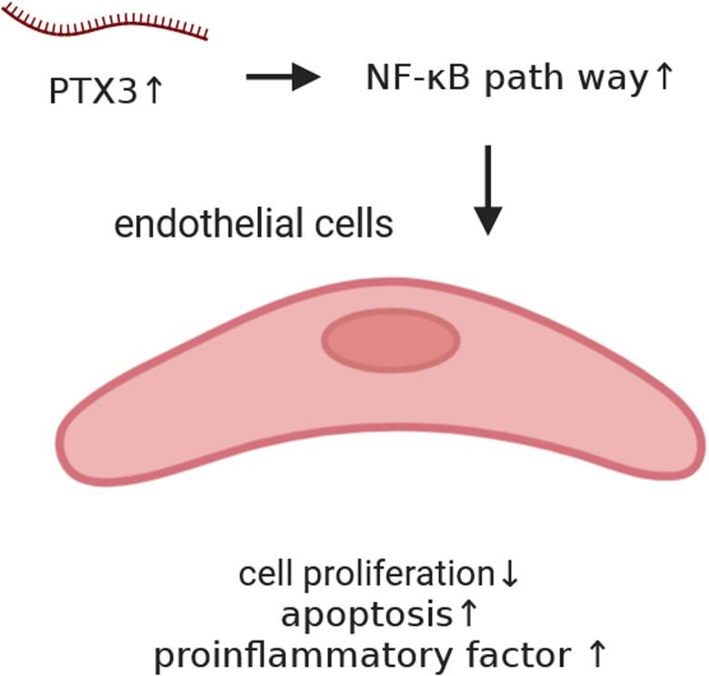 https://cdn.ncbi.nlm.nih.gov/pmc/blobs/a78c/10628575/f7bffd00eb4d/j_biol-2022-0735-ga001.jpg