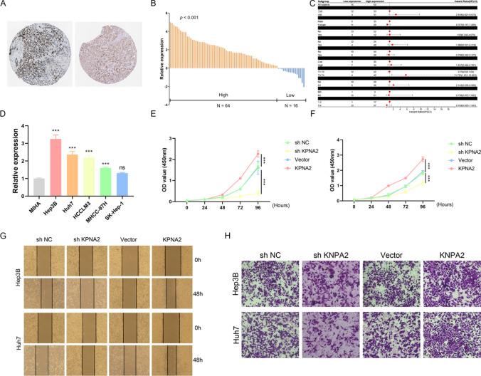 https://cdn.ncbi.nlm.nih.gov/pmc/blobs/a78e/11992308/21565e35e3f0/12672_2025_2311_Fig6_HTML.jpg