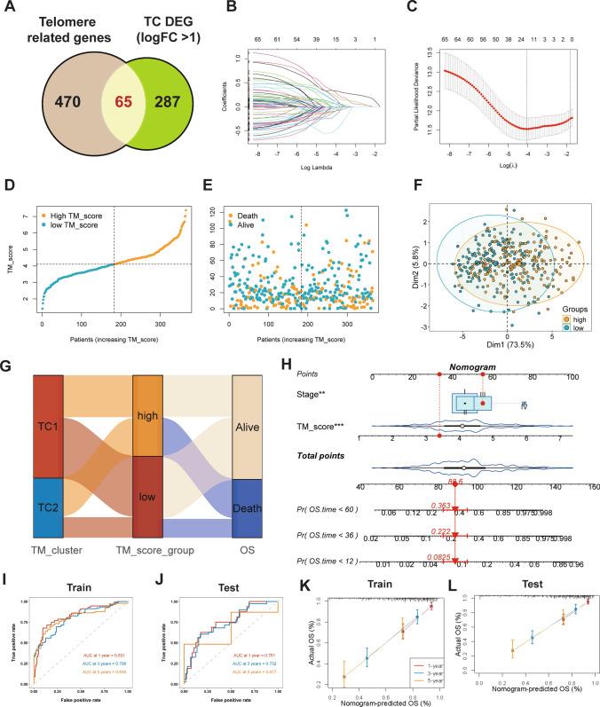https://cdn.ncbi.nlm.nih.gov/pmc/blobs/a78e/11992308/ba9b5ead43a0/12672_2025_2311_Fig4_HTML.jpg