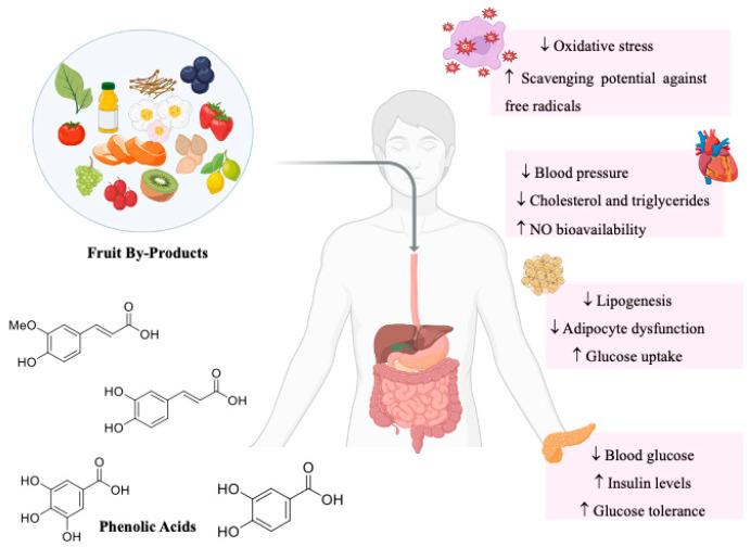 https://cdn.ncbi.nlm.nih.gov/pmc/blobs/a78f/12027487/0b7cd9cbac13/ijms-26-03834-g004.jpg