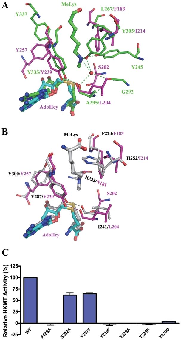 https://cdn.ncbi.nlm.nih.gov/pmc/blobs/a78f/3105404/a52ed0940548/gkr019f4.jpg
